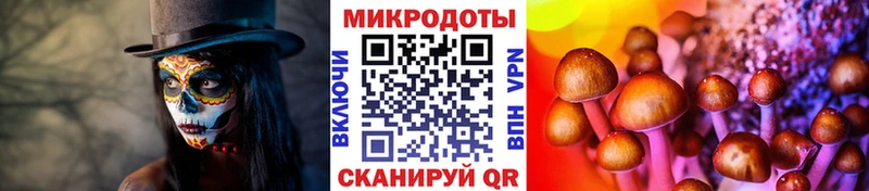 Псилоцибиновые грибы Psilocybine cubensis Лангепас